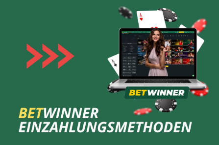 Explore the World of Betting with Betwinner Sportsbook